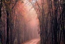 [举重]全国举重锦标赛：男子109公斤以上级决赛.