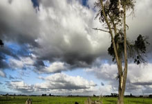 兰博电竞官网：米切尔独揽27分 骑士NBA主场大胜公鹿.