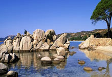 兰博电竞官网：全国女子举重锦标赛收官 黑龙江队获4枚金牌3-25 15：58.